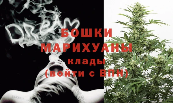 винт Абаза