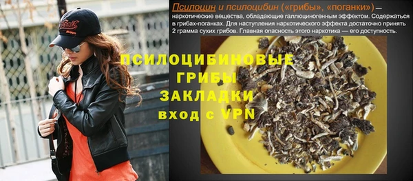 винт Абаза