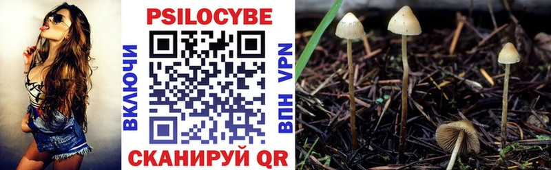 Галлюциногенные грибы Magic Shrooms  shop как зайти  Клинцы 