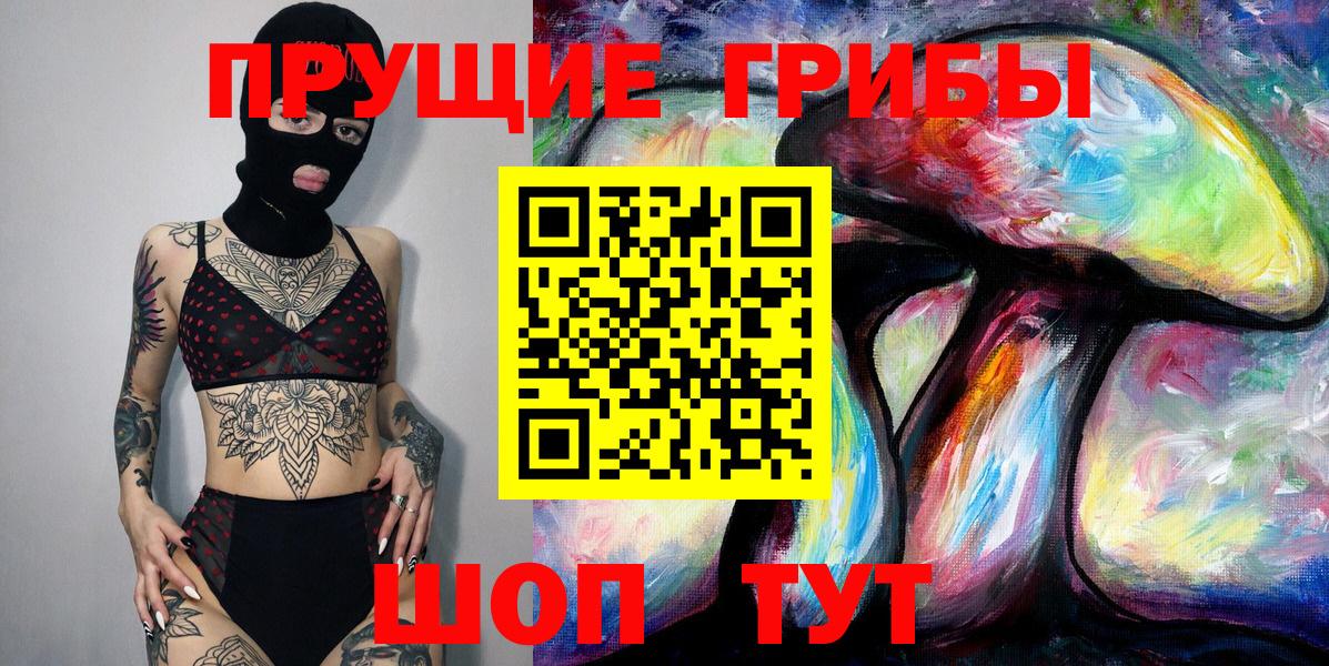 Псилоцибиновые грибы Psilocybine cubensis Клинцы