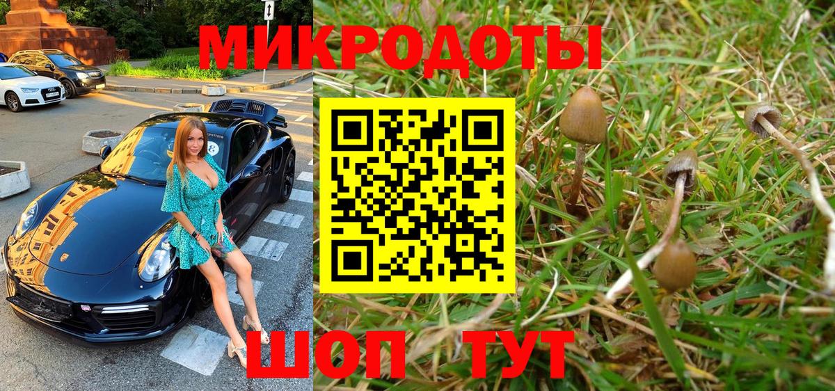 Клинцы  Псилоцибиновые грибы Cubensis  Вход с VPN  Галлюциногенные грибы прущие грибы 